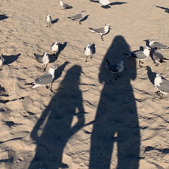 Meet your Posher, Eliana - Picture 3 of 4